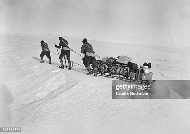 Robert F. Scott and two of his four companions set out for the South Pole pulling a sled. The expedition found Roald Amundsen had arrived a month...