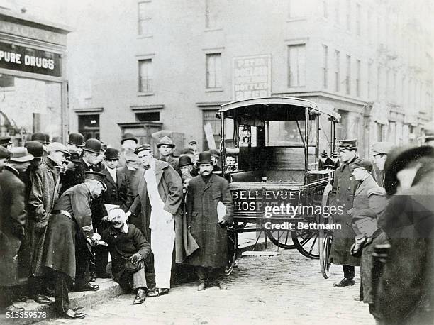 Bellevue Hospital Ambulance, ca. 1885.