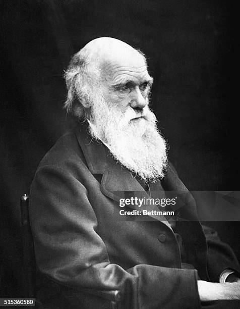 Charles Darwin in his later years. Photo by J. Cameron, 1869.