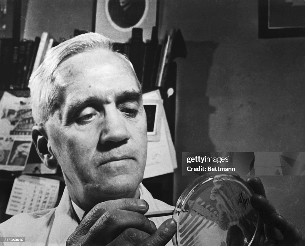Sir Alexander Fleming in His Laboratory
