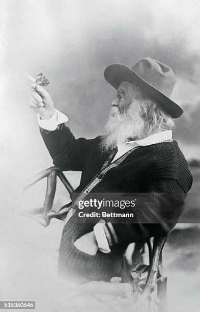 Poet Walt Whitman seated in chair looking at butterfly. Undated photograph.