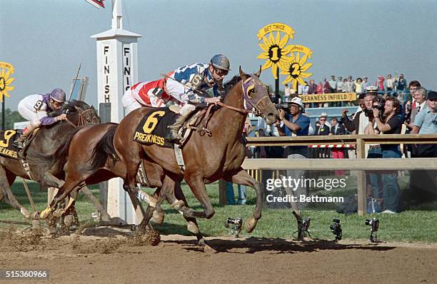Alysheba crosses the finish line to win the Preakness, the second leg of the Triple Crown, at Pimlico Race Track 5/16.