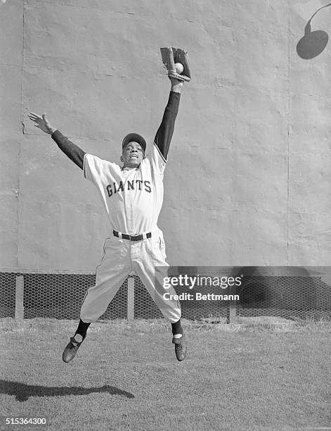 Centerfielder Willie Mays, of the New York Giants baseball team is shown here making an outstanding catch.