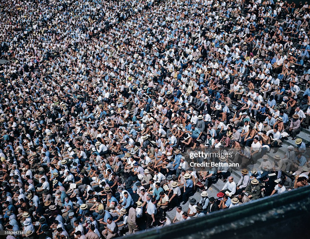 Baseball Crowds at Yankee Stadium