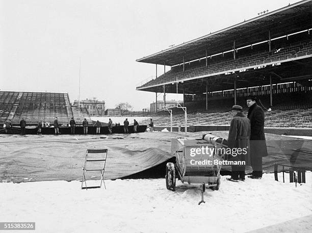 There is no let-up in work on Wrigley Field as it is being conditioned each day in an effort to provide perfect playing surface for the NFL title...