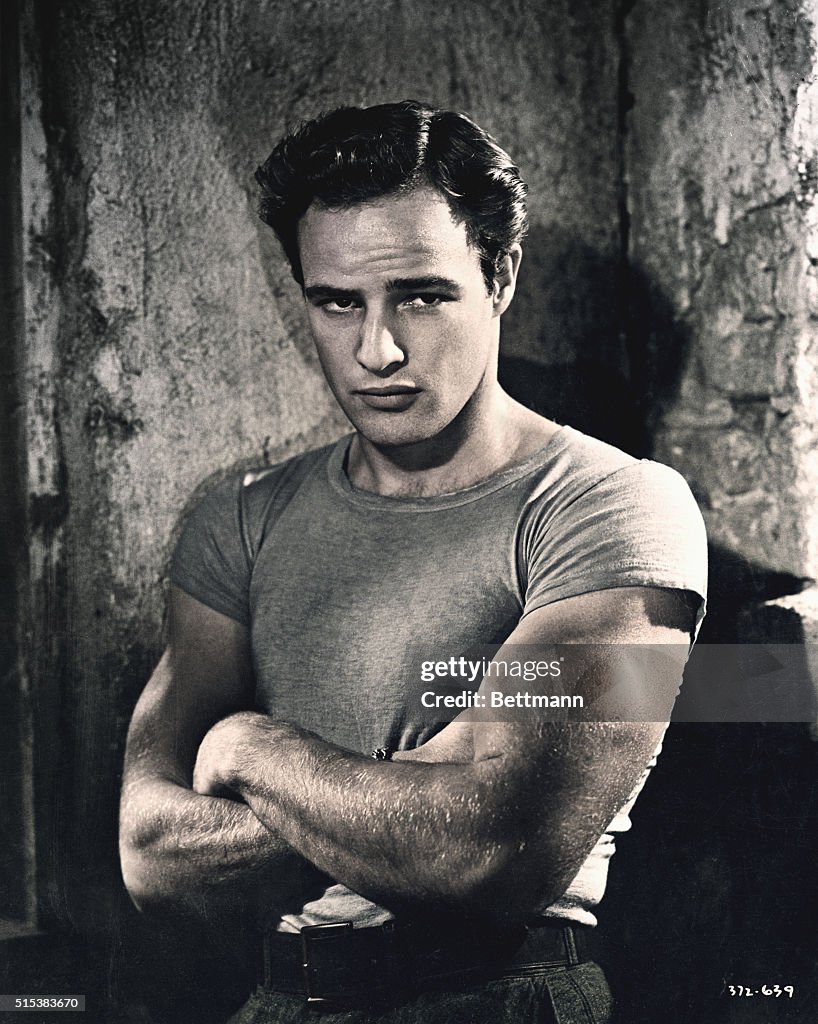 Marlon Brando as Stanley Kowalski