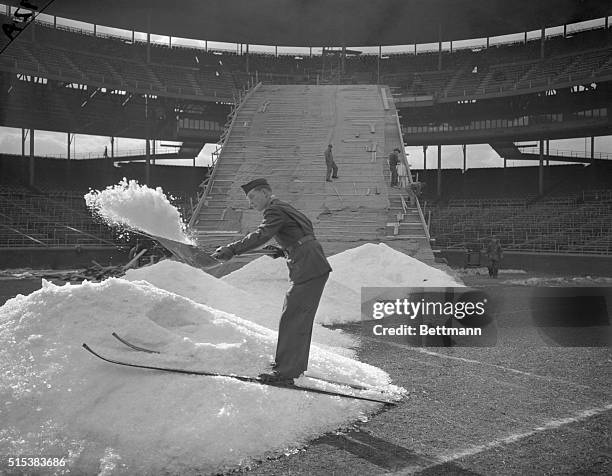 It won't be tough skiing, because they've plenty of snow--even though they had to haul it into Wrigley Field for the Norge Ski Club's invitational...