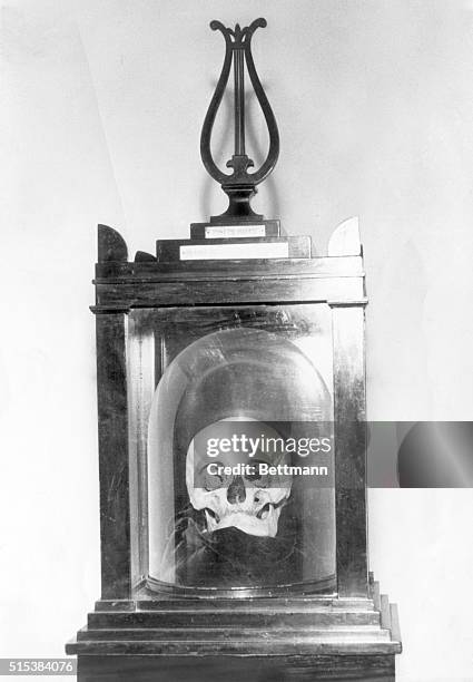 Joseph Hadyn's skull encased and displayed in Vienna Haydn House is shown.