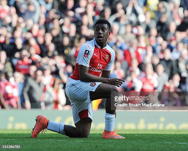 Alex Iwobi of Arsenal during the Emirates FA Cup Sixth Round match between Arsenal and Watford at Emirates Stadium on March 13, 2016 in London,...