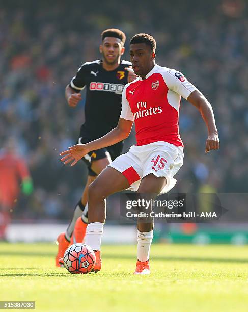 Alex Iwobi of Arsenal during the Emirates FA Cup match between Arsenal and Watford at the Emirates Stadium on March 13, 2016 in London, England.