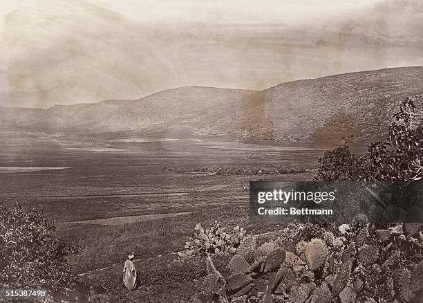 Palestinian man looks out over planted fields.