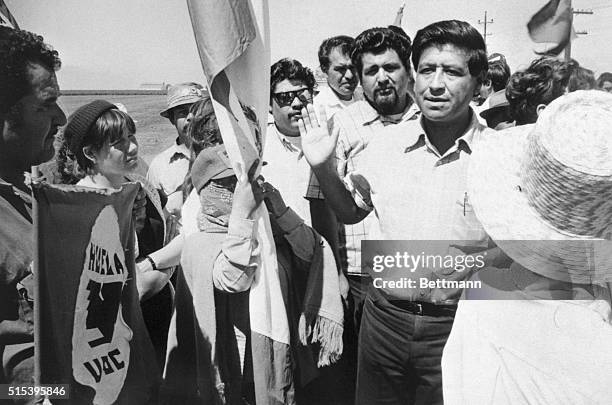 Cesar Chavez, Director of the United Farm workers, raises his hand as he pleads with his pickets "to be peaceful" after he had invited them to test...