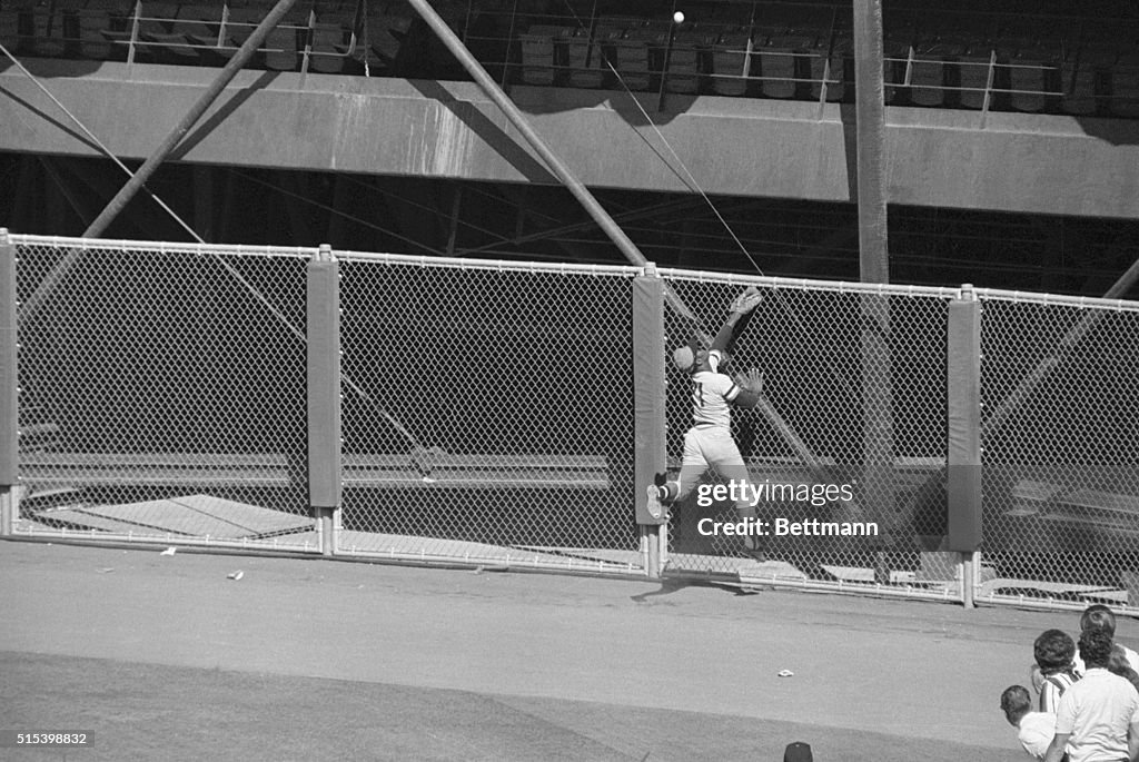 Roberto Clemente Leaping for the Ball
