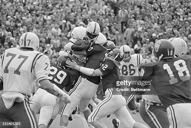Norman, Oklahoma: Tackled By A Host Of Sooners. : Nebraska's Johnny Rodgers , is tackled by a host of Oklahoma Sooners Nov. 25th, after he ran the...