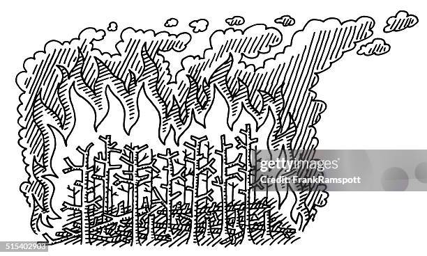 forest fire katastrophe ziehen - sketching brand stock-grafiken, -clipart, -cartoons und -symbole