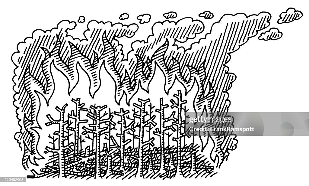 Forest Fire Drawing