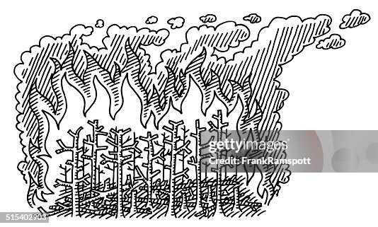 Fire Causing Drawing Forest Fire Disaster Drawing High-Res Vector Graphic - Getty Images