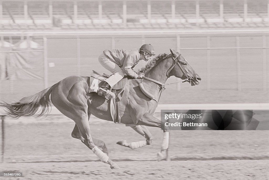 Jose Ithier Riding Affirmed