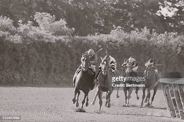Into the final turn of the Belmont Stakes June 10th are: Alydar, Affirmed, Noon Time Spender and Judge Advocate. The fifth horse, Darby Creek Road is...