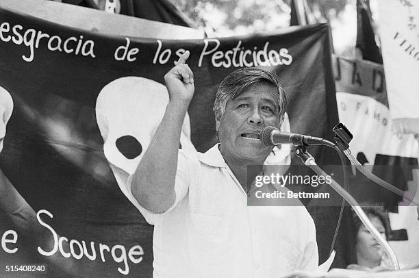 Delano, California- United Farm Workers president Cesar Chavez declares war on pesticides at a rally marking the 20th anniversary of the Delano grape...