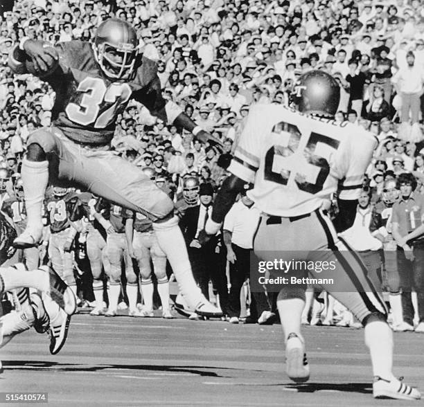 Scampered Photos and Premium High Res Pictures - Getty Images