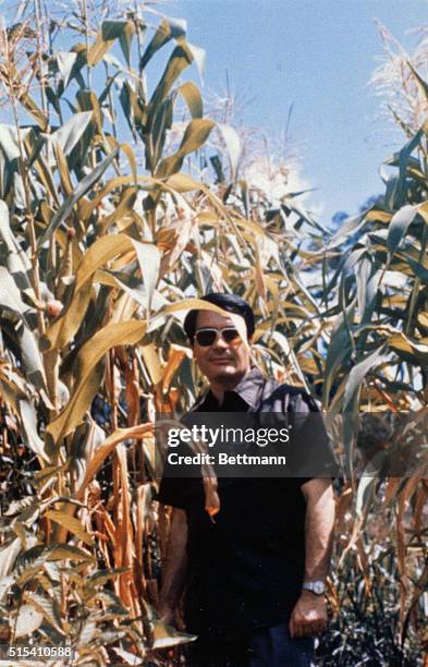 Jonestown, Guyana: Left behind in the village of the dead in Jonestown, Guyana, was a pink photo album. It's a collection of over 40 color pictures...