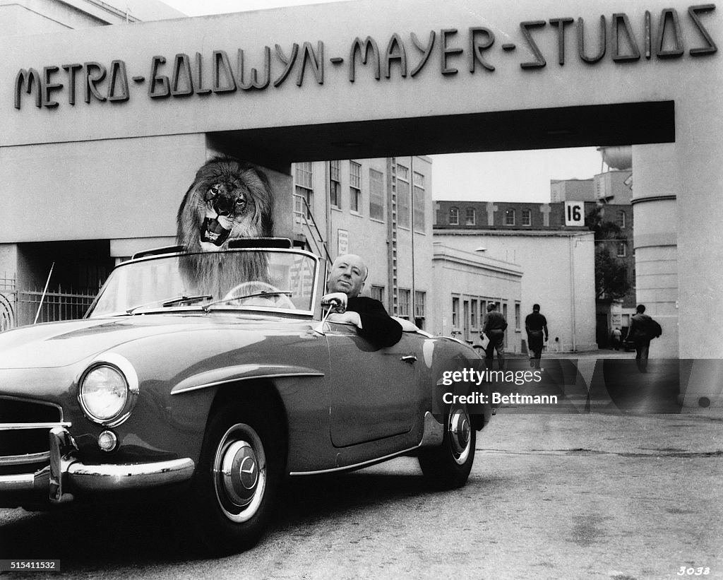 Alfred Hitchcock with Lion "Passenger" at MGM