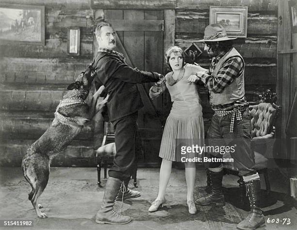 Brave dog comes to the rescue of a city lass in the clutches of two Klondike badmen. Movie still from the 1928 silent "The Law's Lash."