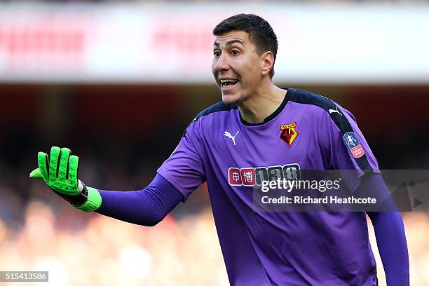 Costel Pantilimon of Watford in action during The Emirates FA Cup Sixth Round match between Arsenal and Watford at the Emirates Stadium on March 13,...