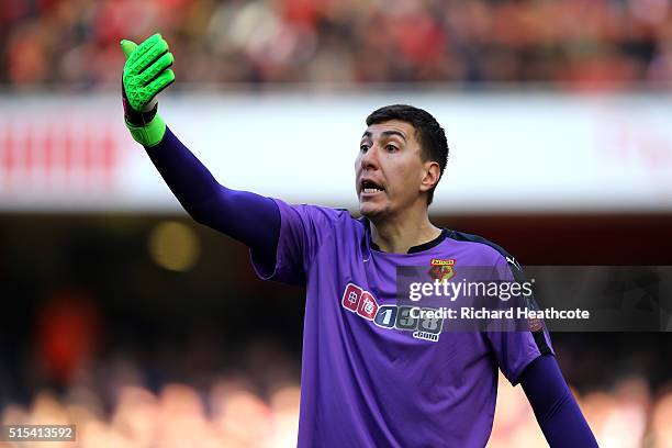 Costel Pantilimon of Watford in action during The Emirates FA Cup Sixth Round match between Arsenal and Watford at the Emirates Stadium on March 13,...