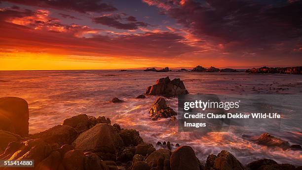 monterey peninsula sunset - noordelijk californië stockfoto's en -beelden