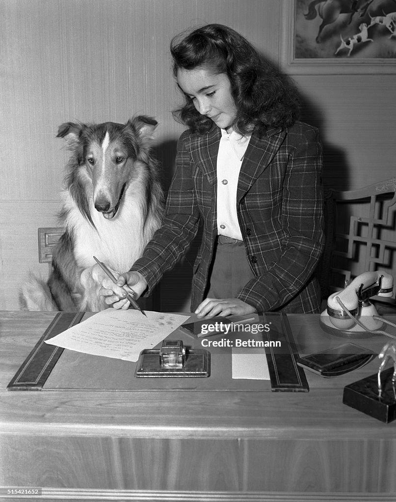 Elizabeth Taylor and Lassie