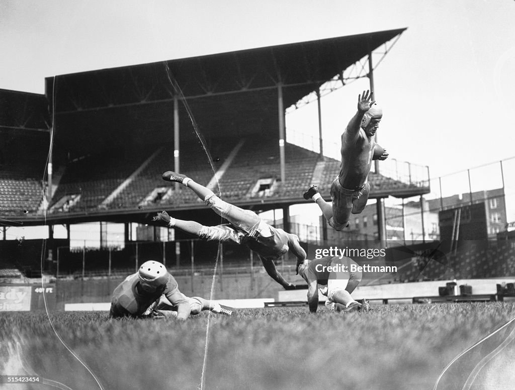 Lions' Football Players During Rough Practice