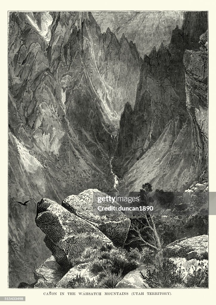 Canyon in the Wahsatch Mountain Range, Utah