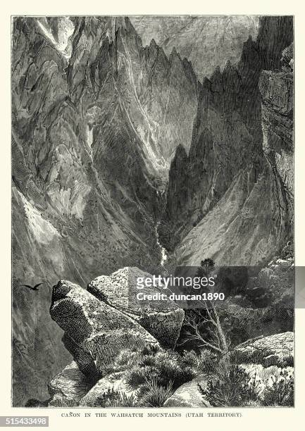 canyon in the wahsatch mountain range, utah - wasatch mountains stock illustrations