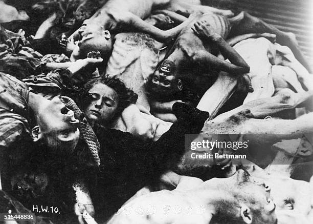 Dachau, Germany: Close-up of dead prisoners at Dachau Concentration Camp. Photograph by Heinrich Weingand, ca. World War II.