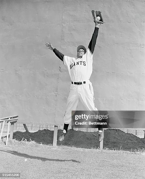 Willie Mays at the Giants' spring training, Phoenix, Arizona.