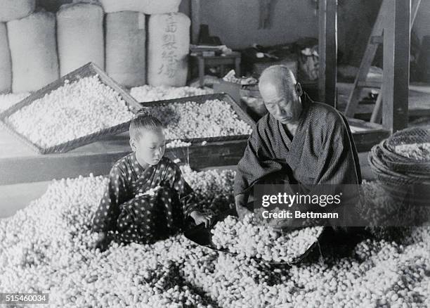 Man and child store silkworm cocoons in a silk factory in Japan, 1920.