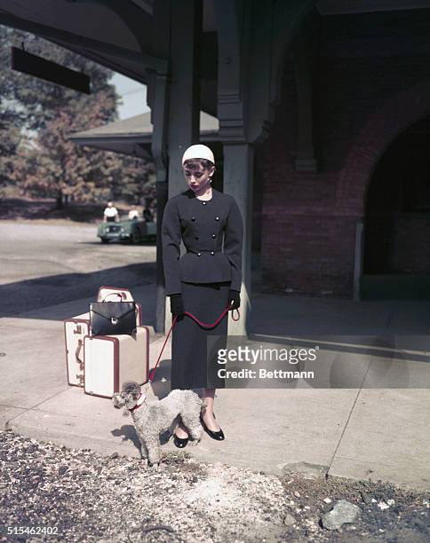 Actress Audrey Hepburn on the set of her movie Sabrina. She is doing a scene.
