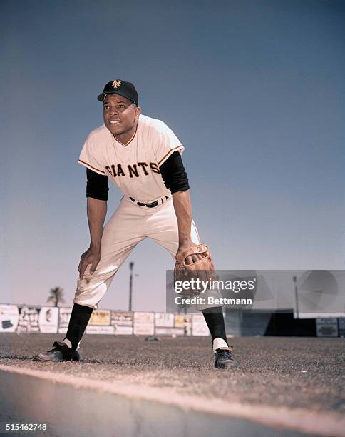 Portrait of New York Giants outfielder Willie Mays.