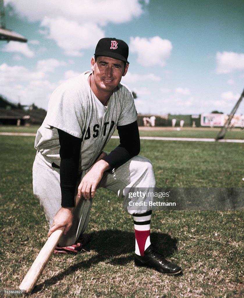 March 1956- Ted Williams of the Boston Red Sox. UPI color slide. News Photo  - Getty Images