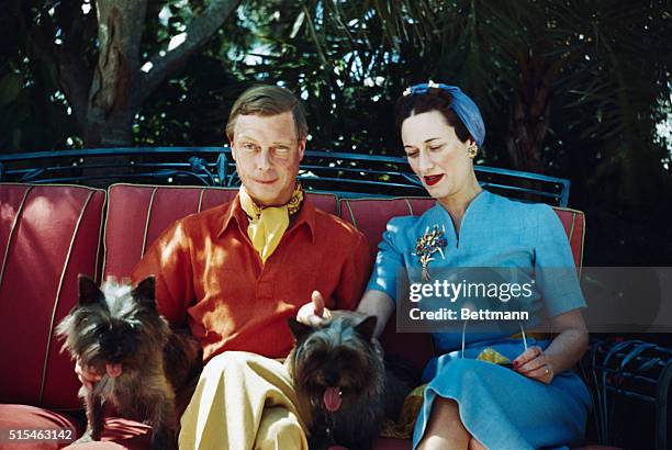 The Duke and Duchess of Windsor seated outdoors with two small dogs.