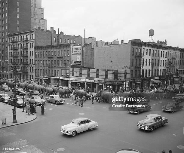 Circus elephants turn from 2nd avenue, West into 57th Street en route to Madison Square Garden from the Mott Haven Railroad Yards.