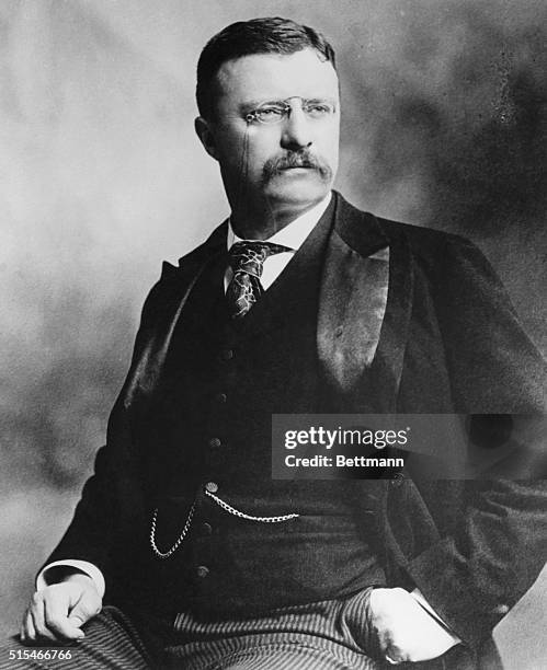 Theodore Roosevelt , the 26th President of the United States, .