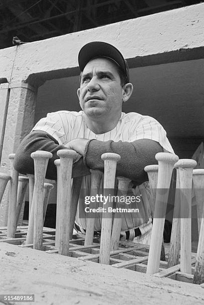 Yankee manager Yogi Berry is hoping for base hits for his players as he pauses at bat rack just before start of the World Series third game against...