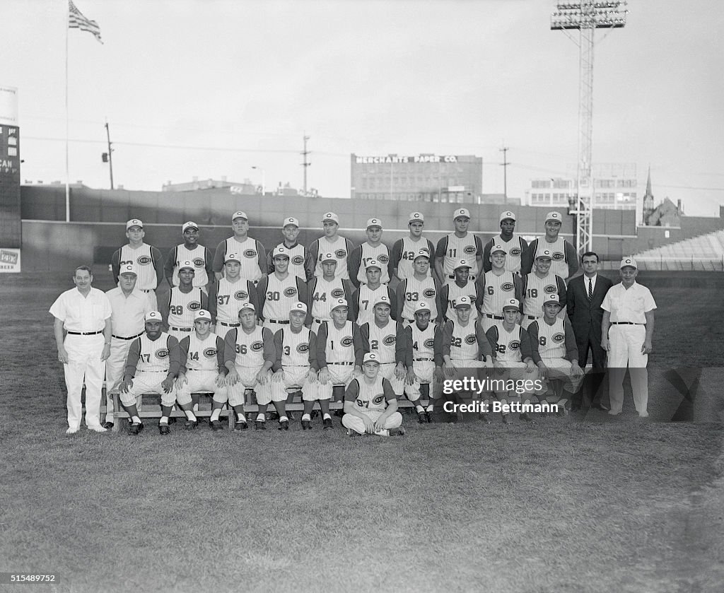 Cincinnati Reds 1964 Team Photo