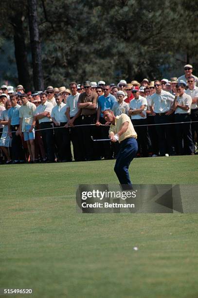 Augusta, Georgia: Arnold Palmer studies the green on the 11th hole in second round of the Masters Tournament today.