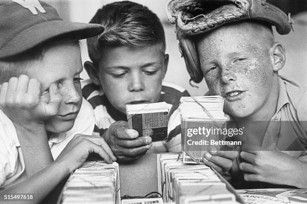 Brothers Paul and Mike Arms admire their prize baseball card collection with fellow card collector Robert Trupathy.