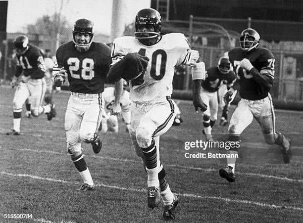 Chicago Bears Gale Sayers leads the Minnesota Vikings on a 96 yard touchdown run.
