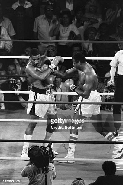 Right from WBC World Heavyweight Champion Larry Holmes goes through the guard of challenger Tim Witherspoon in the sixth round of their 12 round...